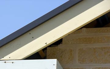 Burstall fascia repairs