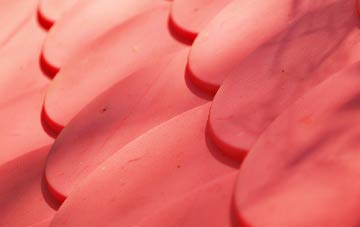 Burstall plastic roof costs