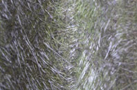 Burstall fibreglass roof work