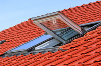 Burstall roof window