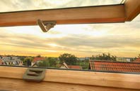 rated Burstall roof window companies