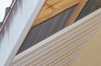 rated Burstall soffit repair companies